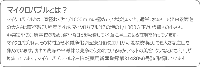 mt_sub02